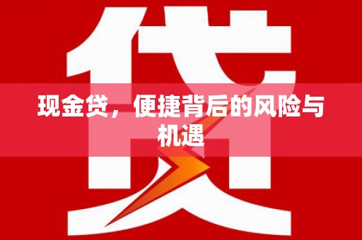 凌海现金贷，便捷背后的风险与机遇