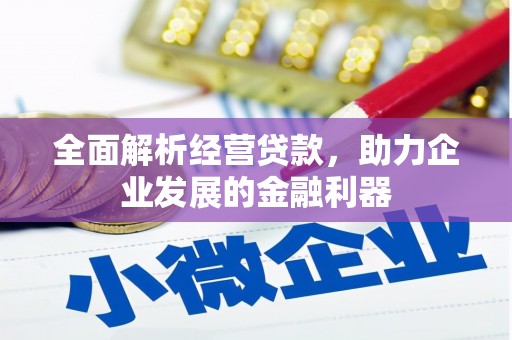 凌海全面解析经营贷款，助力企业发展的金融利器