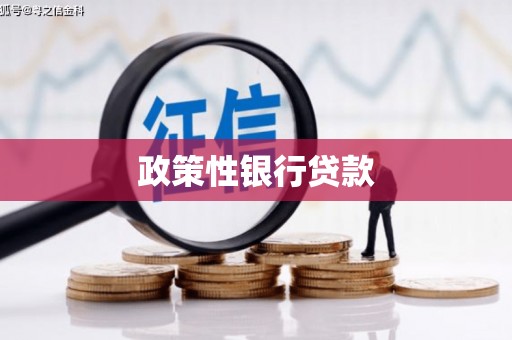 凌海政策性银行贷款