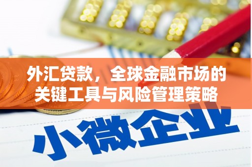 凌海外汇贷款，全球金融市场的关键工具与风险管理策略