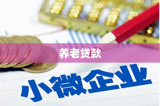 凌海养老贷款