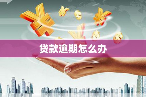 凌海贷款逾期怎么办