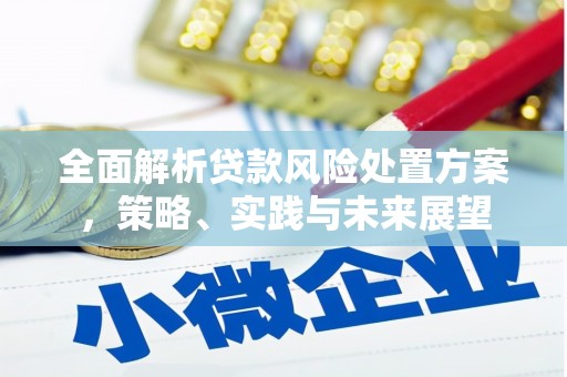 凌海全面解析贷款风险处置方案，策略、实践与未来展望