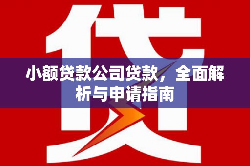 凌海小额贷款公司贷款，全面解析与申请指南