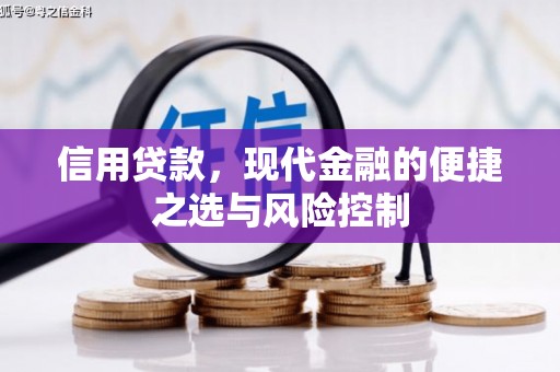 凌海信用贷款，现代金融的便捷之选与风险控制