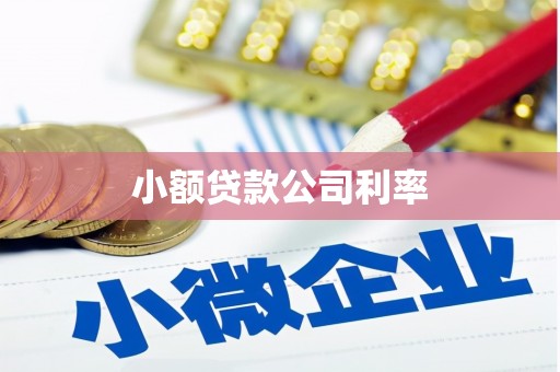 凌海小额贷款公司利率