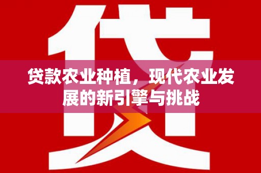 凌海贷款农业种植，现代农业发展的新引擎与挑战