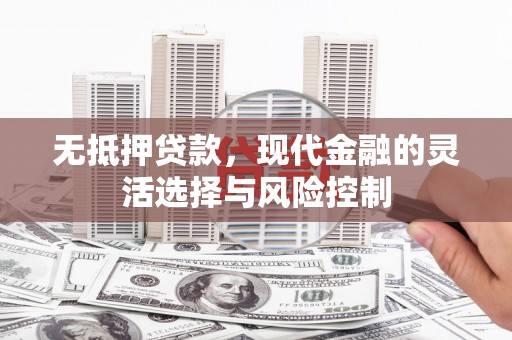 凌海无抵押贷款，现代金融的灵活选择与风险控制