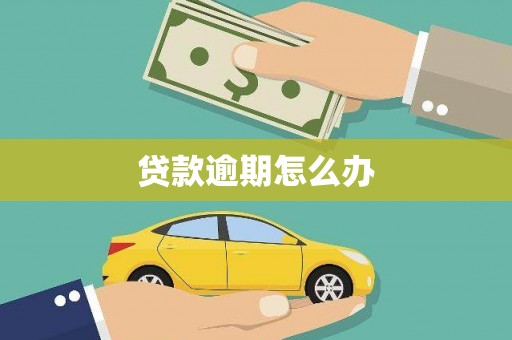 凌海贷款逾期怎么办
