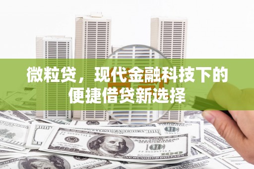 凌海微粒贷，现代金融科技下的便捷借贷新选择