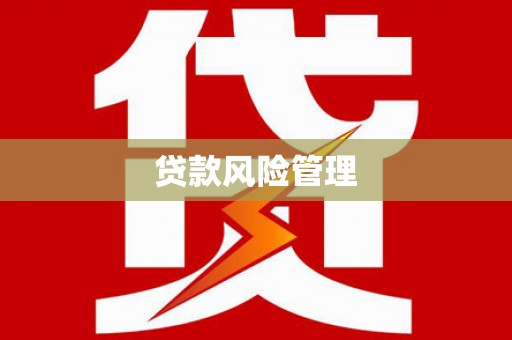 凌海贷款风险管理