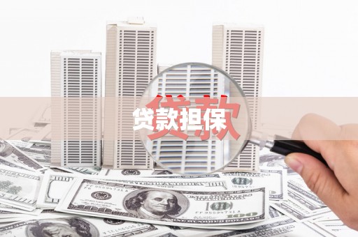 凌海贷款担保