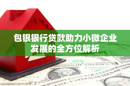 凌海包银银行贷款助力小微企业发展的全方位解析