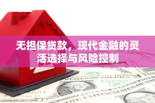 凌海无担保贷款，现代金融的灵活选择与风险控制