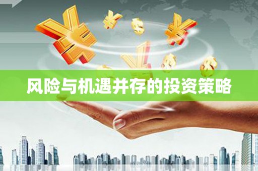 凌海风险与机遇并存的投资策略