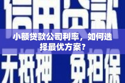 凌海小额贷款公司利率，如何选择最优方案？