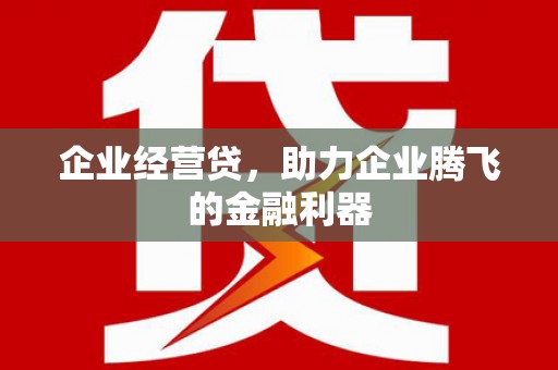 凌海企业经营贷，助力企业腾飞的金融利器