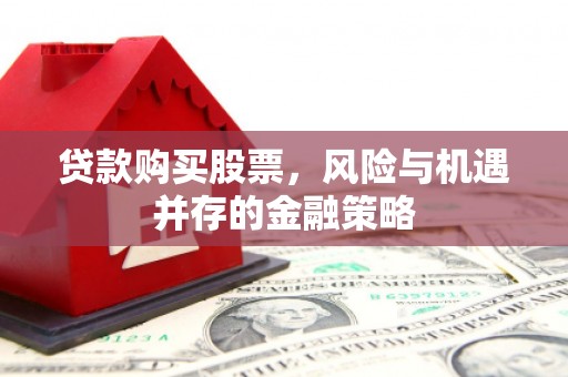 凌海贷款购买股票，风险与机遇并存的金融策略