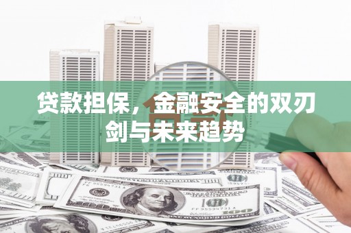 凌海贷款担保，金融安全的双刃剑与未来趋势