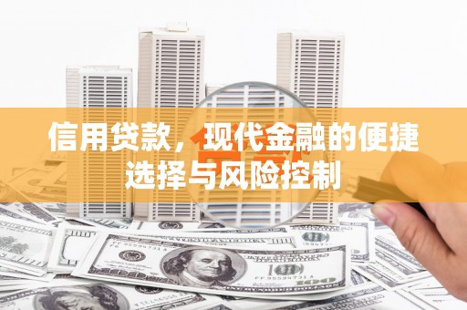 凌海信用贷款，现代金融的便捷选择与风险控制