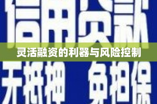 凌海灵活融资的利器与风险控制