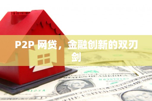 凌海P2P 网贷，金融创新的双刃剑
