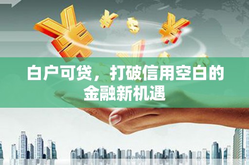 凌海白户可贷，打破信用空白的金融新机遇