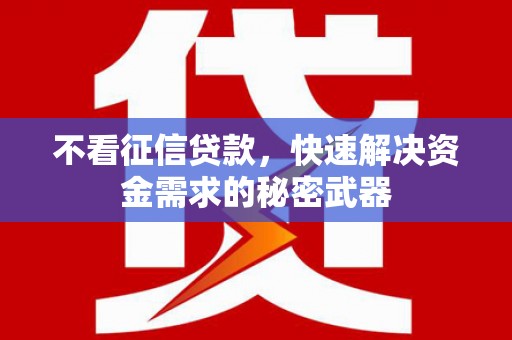 凌海不看征信贷款，快速解决资金需求的秘密武器