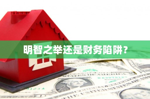 凌海明智之举还是财务陷阱？