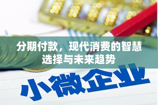 凌海分期付款，现代消费的智慧选择与未来趋势