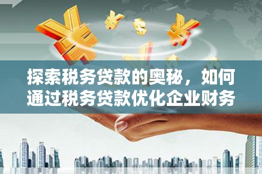 凌海探索税务贷款的奥秘，如何通过税务贷款优化企业财务