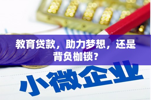 凌海教育贷款，助力梦想，还是背负枷锁？