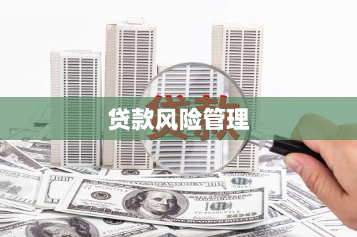 凌海贷款风险管理