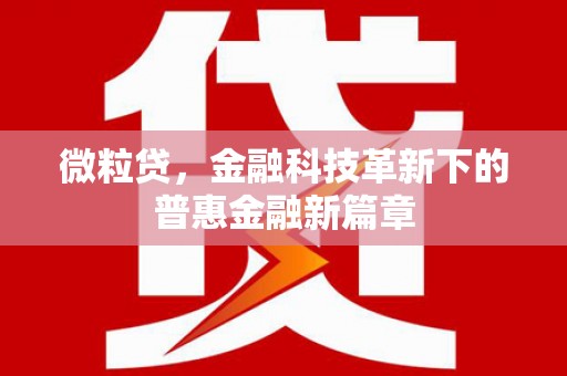 凌海微粒贷，金融科技革新下的普惠金融新篇章