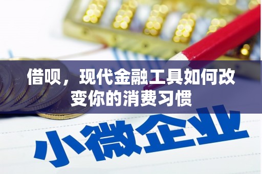 凌海借呗，现代金融工具如何改变你的消费习惯