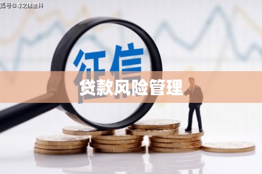 凌海贷款风险管理