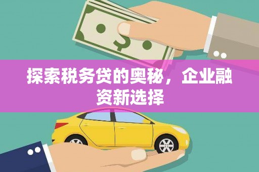 凌海探索税务贷的奥秘，企业融资新选择