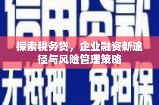 凌海探索税务贷，企业融资新途径与风险管理策略