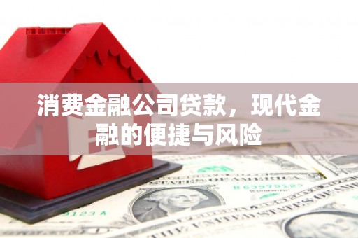 凌海消费金融公司贷款，现代金融的便捷与风险