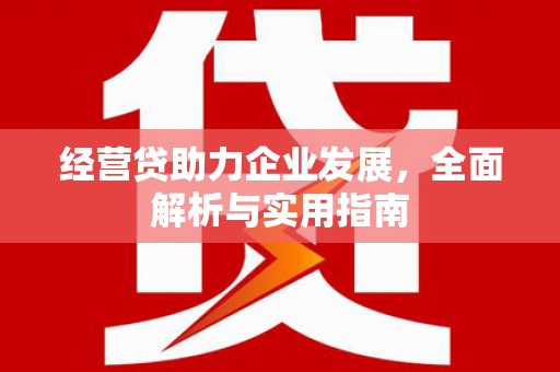 凌海经营贷助力企业发展，全面解析与实用指南