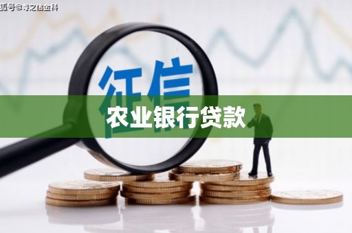 凌海农业银行贷款