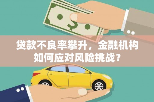 凌海贷款不良率攀升，金融机构如何应对风险挑战？