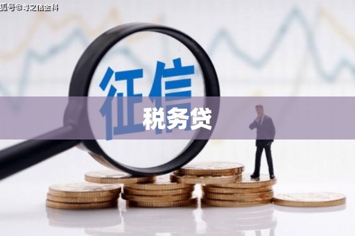 凌海税务贷