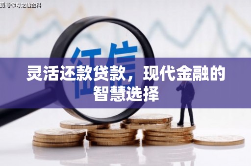 凌海灵活还款贷款，现代金融的智慧选择