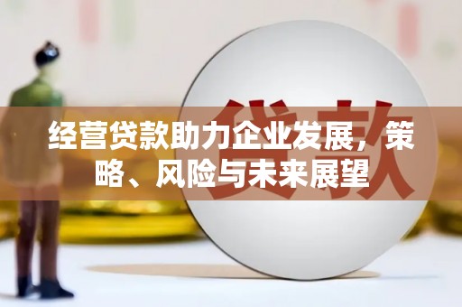 凌海经营贷款助力企业发展，策略、风险与未来展望