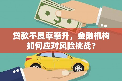 凌海贷款不良率攀升，金融机构如何应对风险挑战？