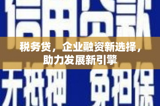 凌海税务贷，企业融资新选择，助力发展新引擎