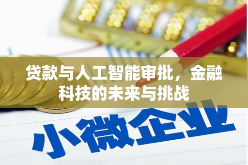 凌海贷款与人工智能审批，金融科技的未来与挑战