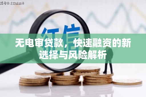 凌海无电审贷款，快速融资的新选择与风险解析