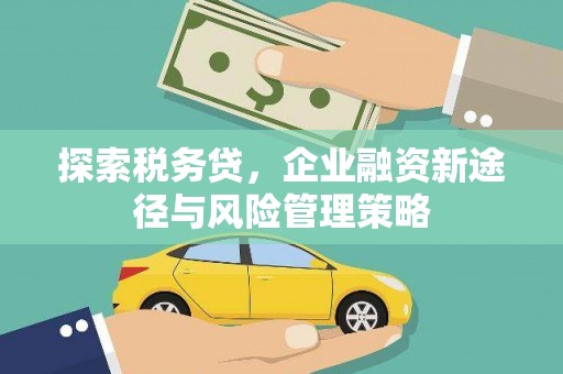 凌海探索税务贷，企业融资新途径与风险管理策略